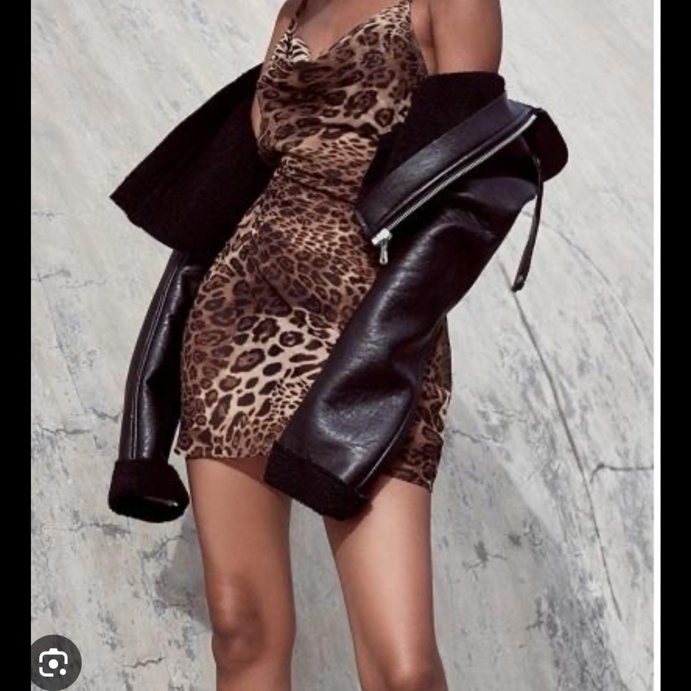 Mistress Rocks Leopard Print Dress - Picture 2 of 7